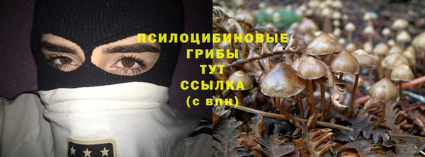 кокаин колумбия Лабытнанги