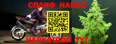 прущие грибы Гусев