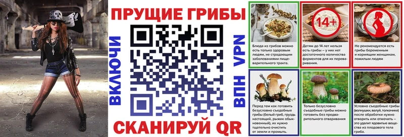 Псилоцибиновые грибы Cubensis Сунжа