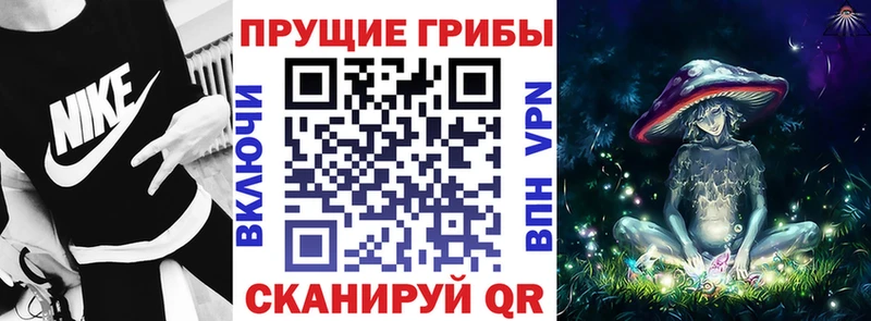Галлюциногенные грибы мухоморы  Сунжа 