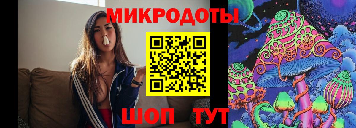 Сунжа  Псилоцибиновые грибы Cubensis  как найти   Вход с VPN 