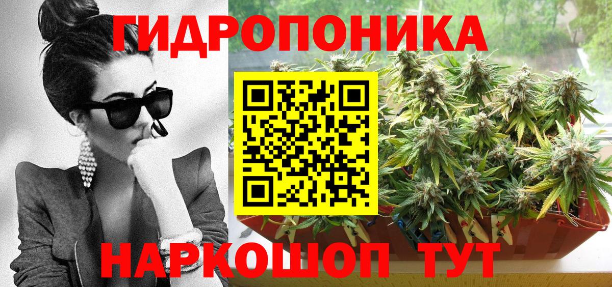 Марихуана сатива  Вход с VPN  Сунжа  Канабис ГИДРОПОН  Конопля сатива  МАРИХУАНА SATIVA & INDICA 