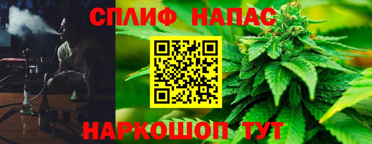 МАРИХУАНА сатива Сунжа